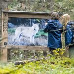 suomen eläimet AR-kierros
